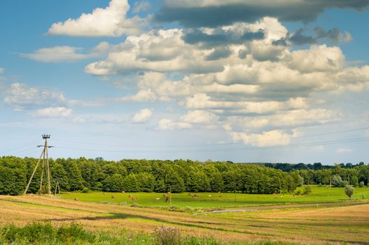 An image of landscape in the middle of summer