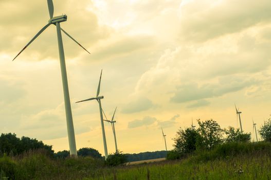 Windmills during sunset in summer time