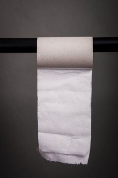 An image of empty toilet paper roll