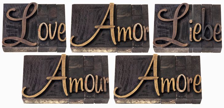 love word in 5 languages (English, Spanish, German, French and Italian) - a collage of isolated text in vintage letterpress wood type printing blocks, script font