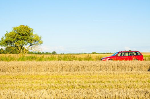 Red car parked near the wheat field