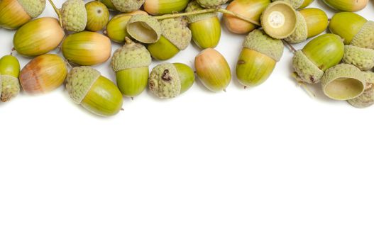 An image of haycorns