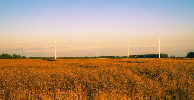 An image of windturbines at dusk