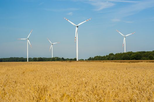 Windturbines in the summer time. 