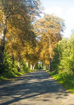 An image of highway road 