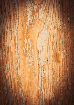 An image of old wood background
