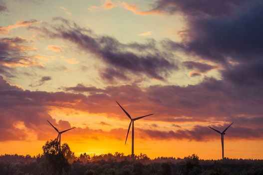 Windmills during sunset in summer time