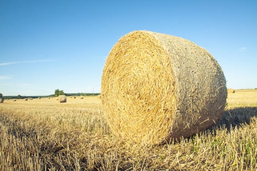 An image of straw bales on harvested field