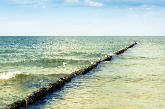 An image of baltic sea at sunny day