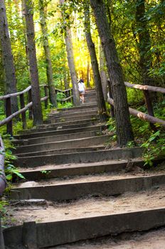 An image of the pathway in the wood