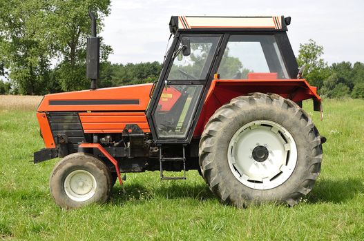 Red tractor on the meadow