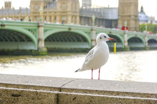 An image of historical achitecture in London UK