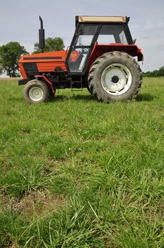 Red tractor on the meadow