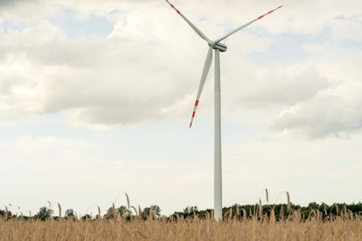 Windturbines in the summer time. 