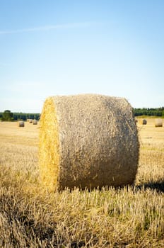An image of straw bales on harvested field