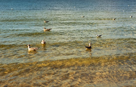 An image of baltic sea at sunny day