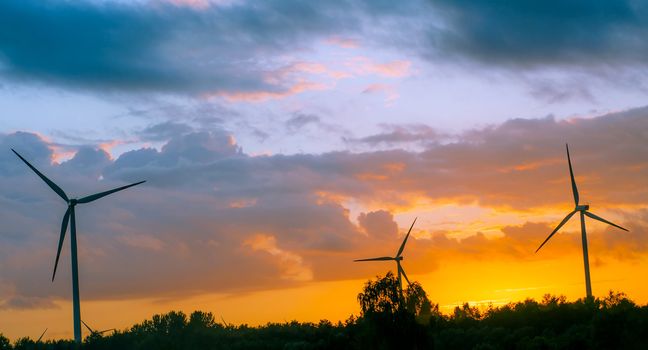 Windmills during sunset in summer time