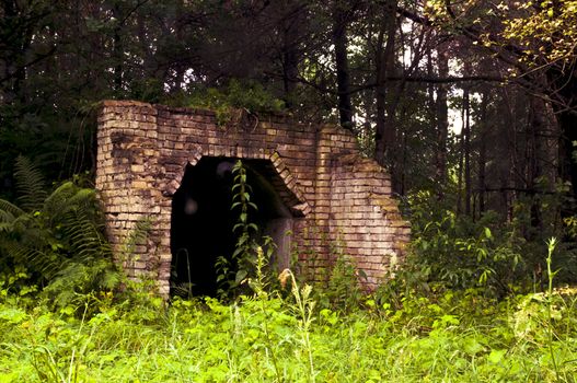An image of hidden old building in the forest