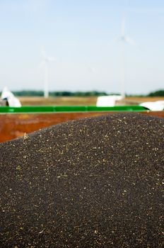 Rape seeds on the trailer
