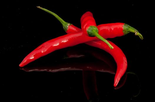 An image of red chilli pepper isolated
