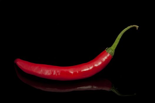 An image of red chilli pepper isolated