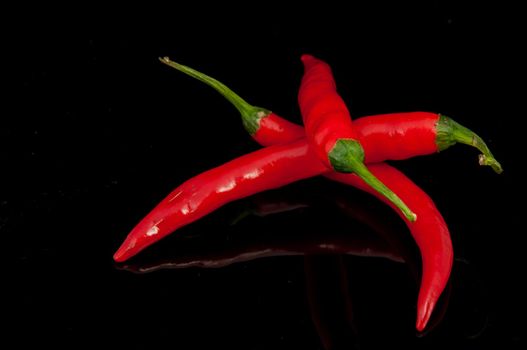 An image of red chilli pepper isolated
