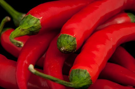 An image of red chilli pepper isolated