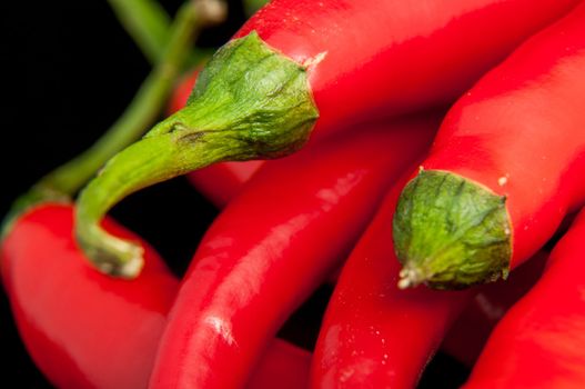 An image of red chilli pepper isolated