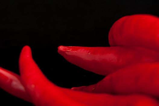 An image of red chilli pepper isolated
