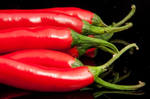 An image of red chilli pepper isolated