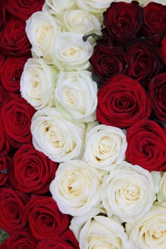 White and red rose floral arrangement for Valentine's day