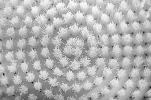 an image of white brush isolated on black