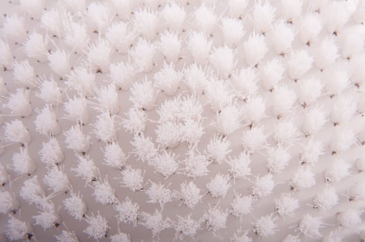 an image of white brush isolated on black