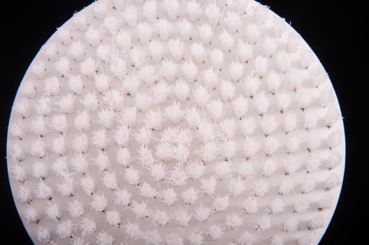 an image of white brush isolated on black