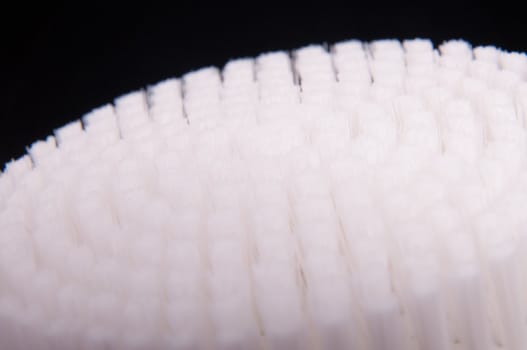an image of white brush isolated on black