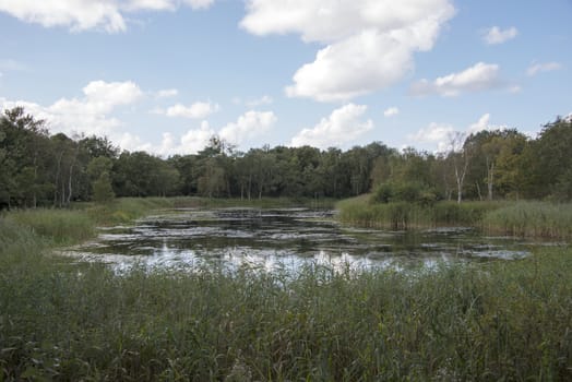 small lake in the dunes of Holland