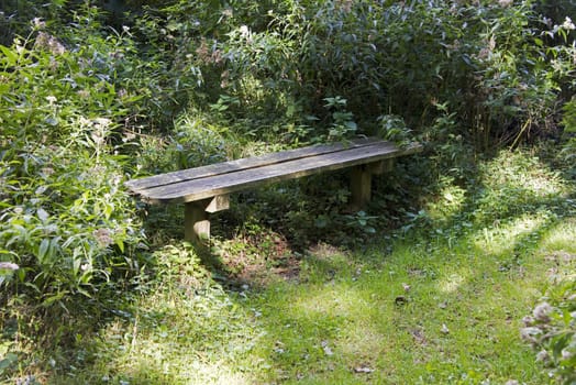 wooden bench to sit in the forest