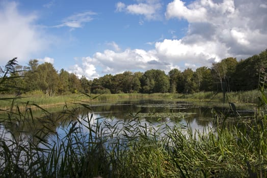 small lake in the dunes of Holland