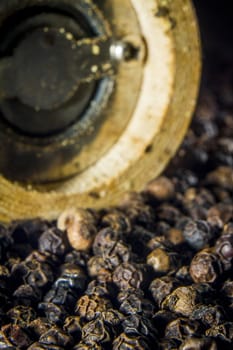 Close-up of lots of black pepper seeds