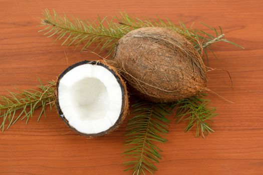 Coconut on a wooden background with pine twig