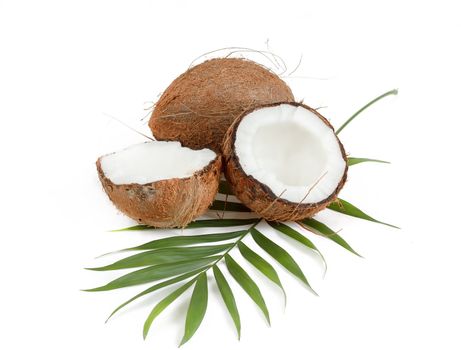 Coconut with leaves on a white background 