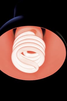 An image of light buln on black background