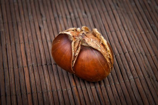 An image of roasted chestnut marron isolated. Castanea Sativa