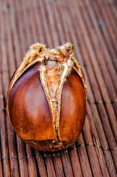 An image of roasted chestnut marron isolated. Castanea Sativa