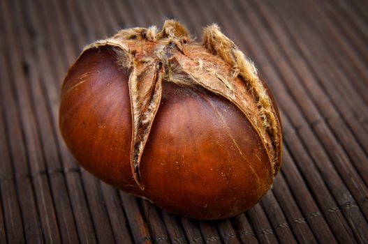 An image of roasted chestnut marron isolated. Castanea Sativa
