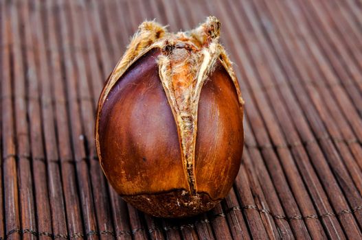 An image of roasted chestnut marron isolated. Castanea Sativa