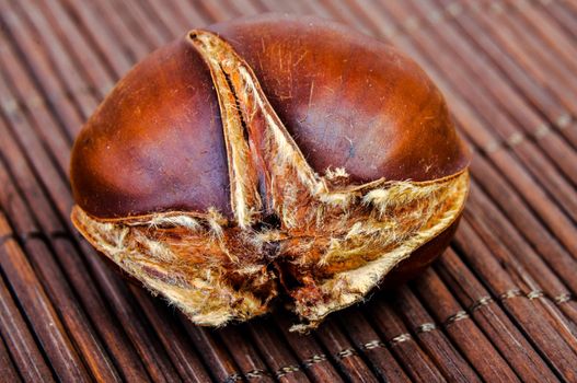 An image of roasted chestnut marron isolated. Castanea Sativa