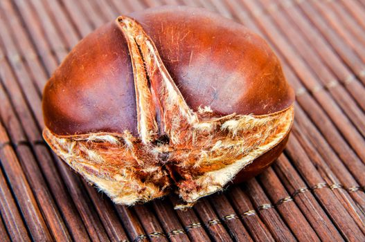 An image of roasted chestnut marron isolated. Castanea Sativa