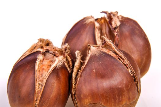 An image of roasted chestnut marron isolated. Castanea Sativa