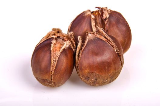 An image of roasted chestnut marron isolated. Castanea Sativa
